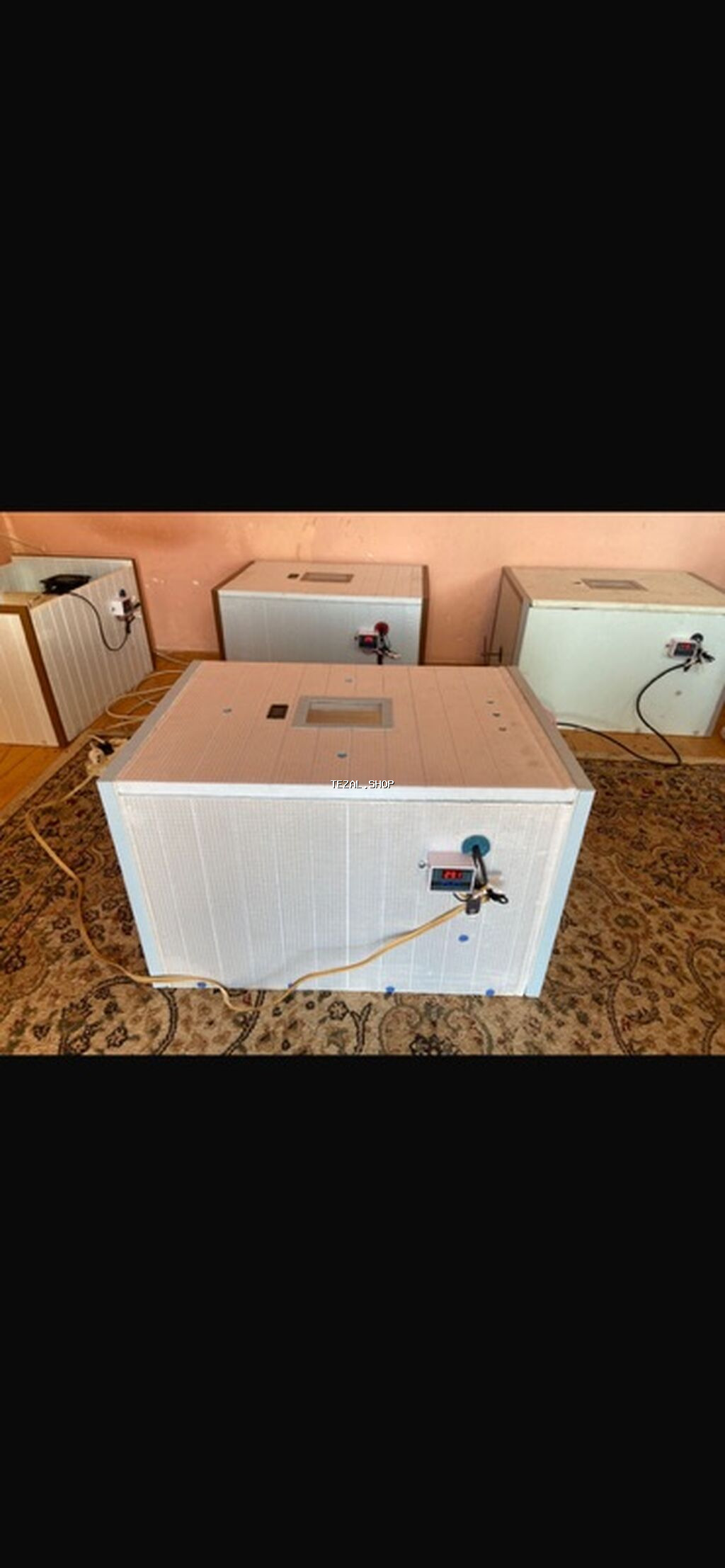 Bütün növ quşlaq üçün