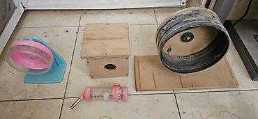 Ayın 19 /31 kimi narahat eliyə bilərsiz - şəkil 5