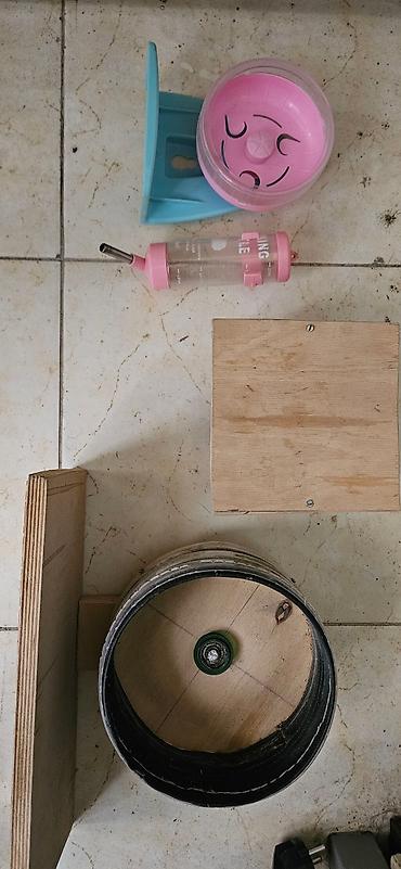 Ayın 19 /31 kimi narahat eliyə bilərsiz - şəkil 4