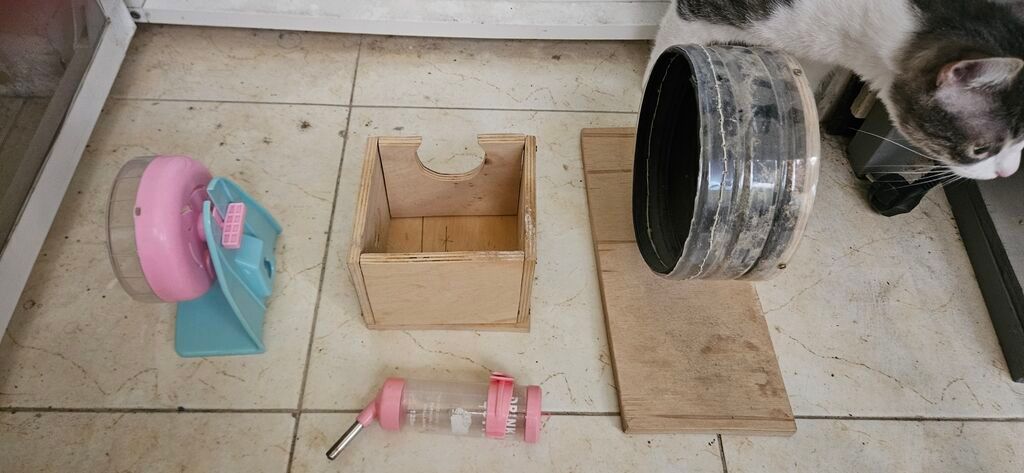 Ayın 19 /31 kimi narahat eliyə bilərsiz