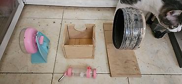 Ayın 19 /31 kimi narahat eliyə bilərsiz - şəkil 2