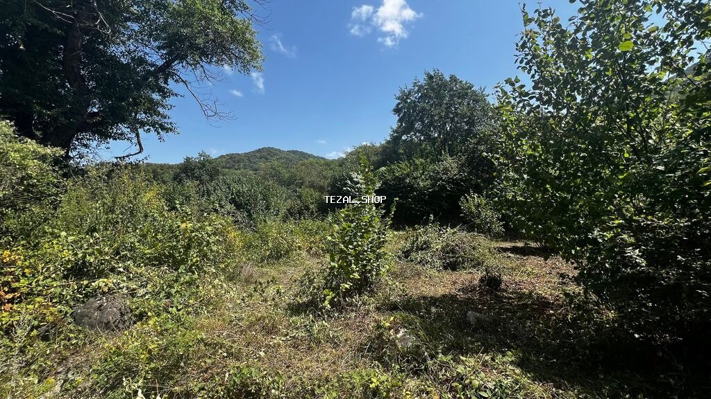 10 sot, Biznes üçün, Kupça (Çıxarış)