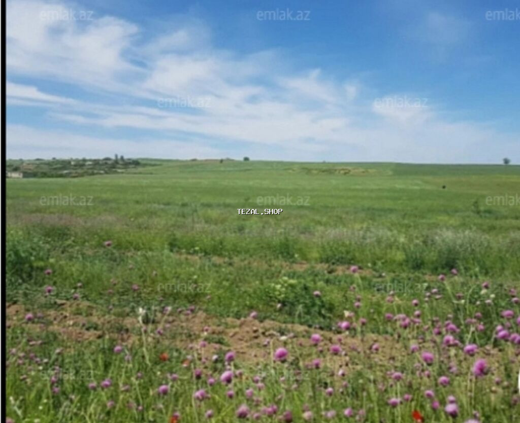 90 sot, Kənd təsərrüfatı