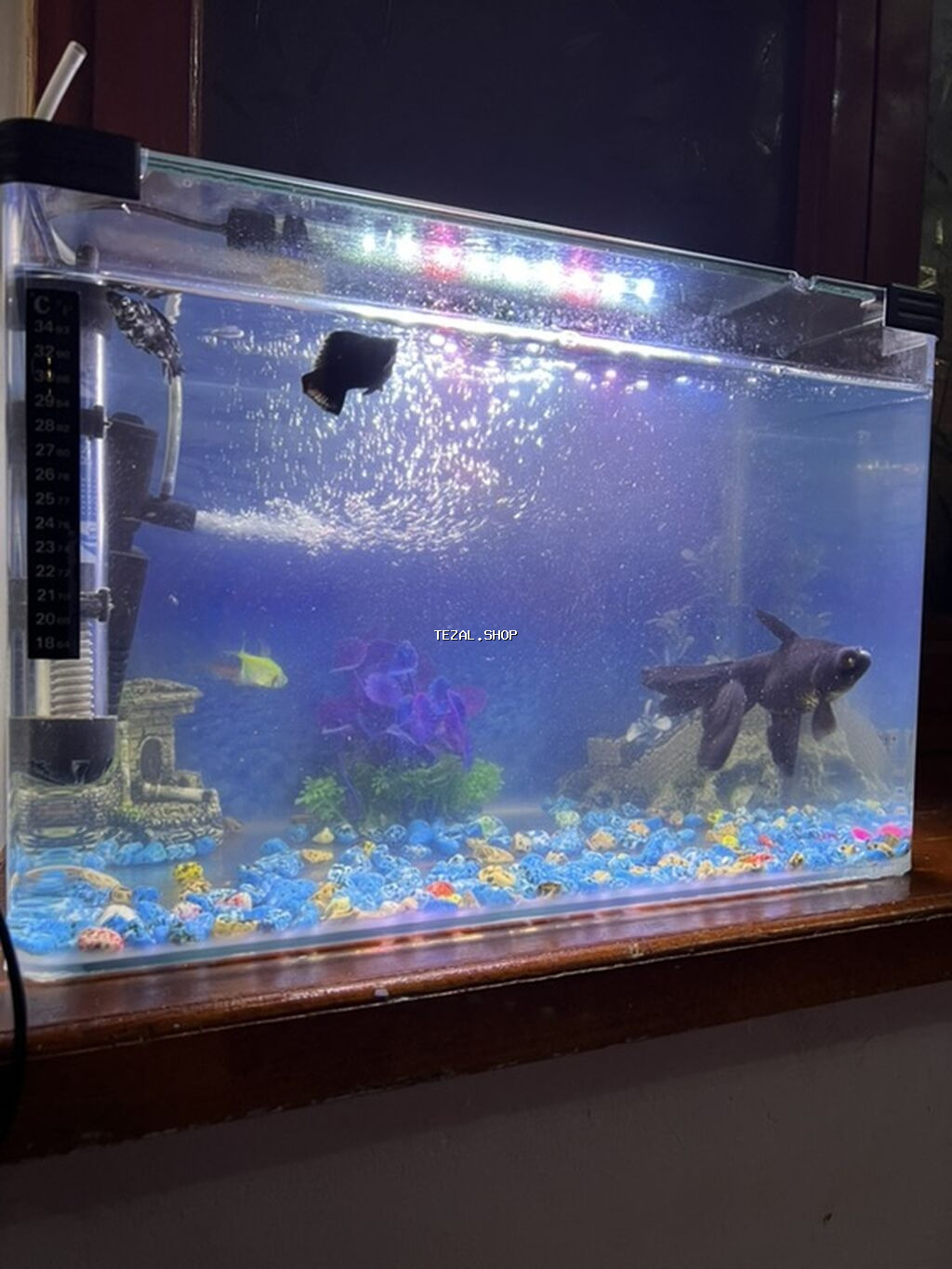 Akvaryum seti – tam işlək komplekt - Şəffaf şüşə akvaryum, düzbucaqlı - şəkil 2