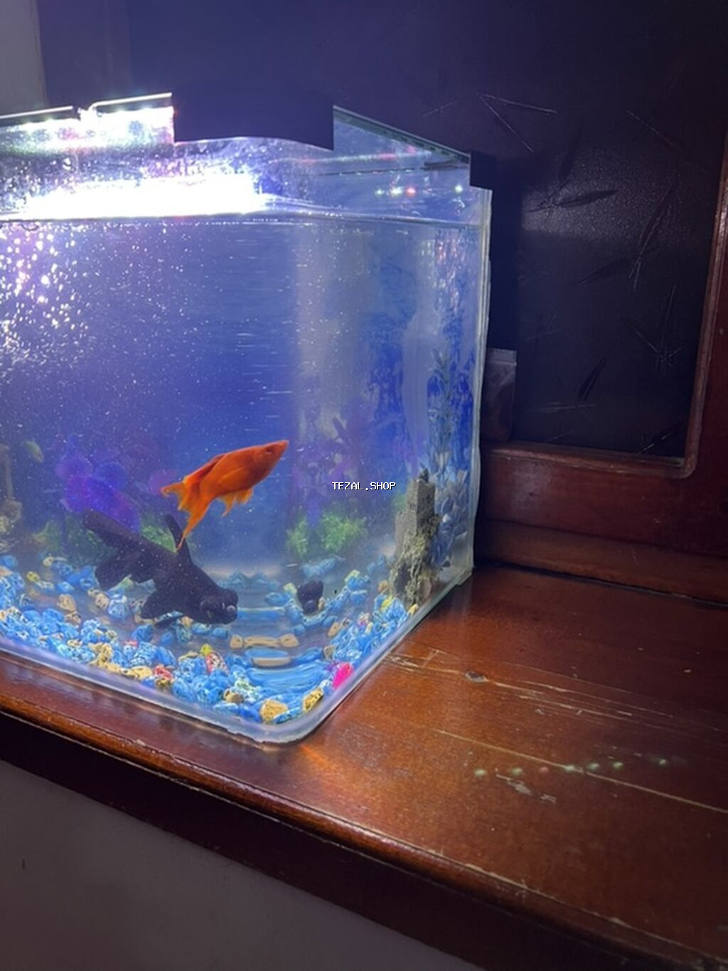 Akvaryum seti – tam işlək komplekt - Şəffaf şüşə akvaryum, düzbucaqlı - şəkil 3
