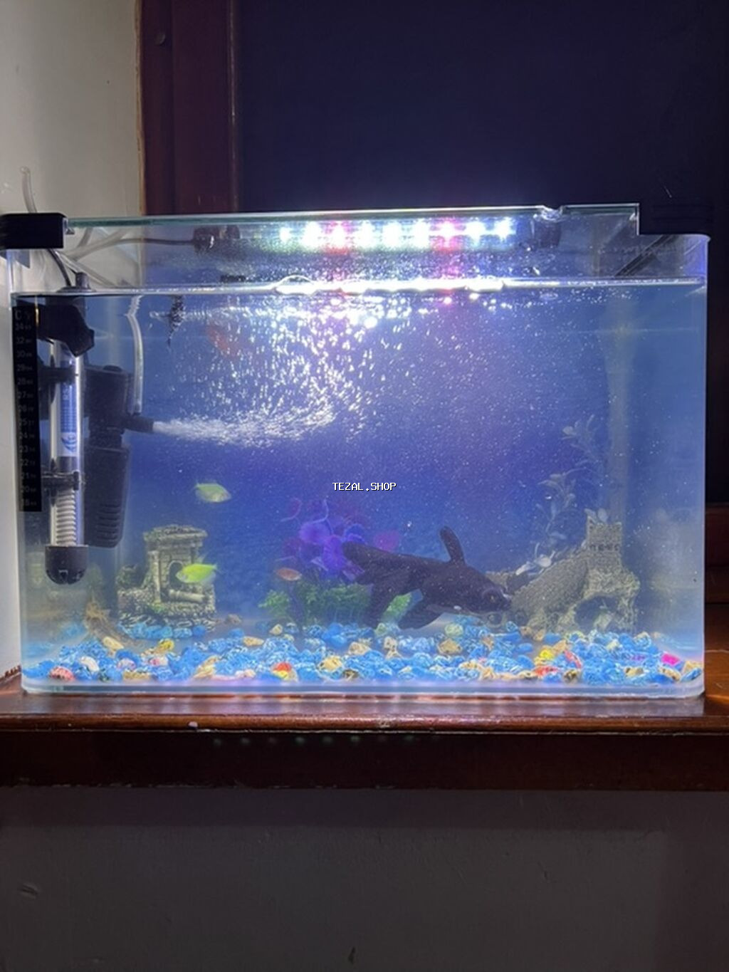 Akvaryum seti – tam işlək komplekt - Şəffaf şüşə akvaryum, düzbucaqlı - şəkil 4