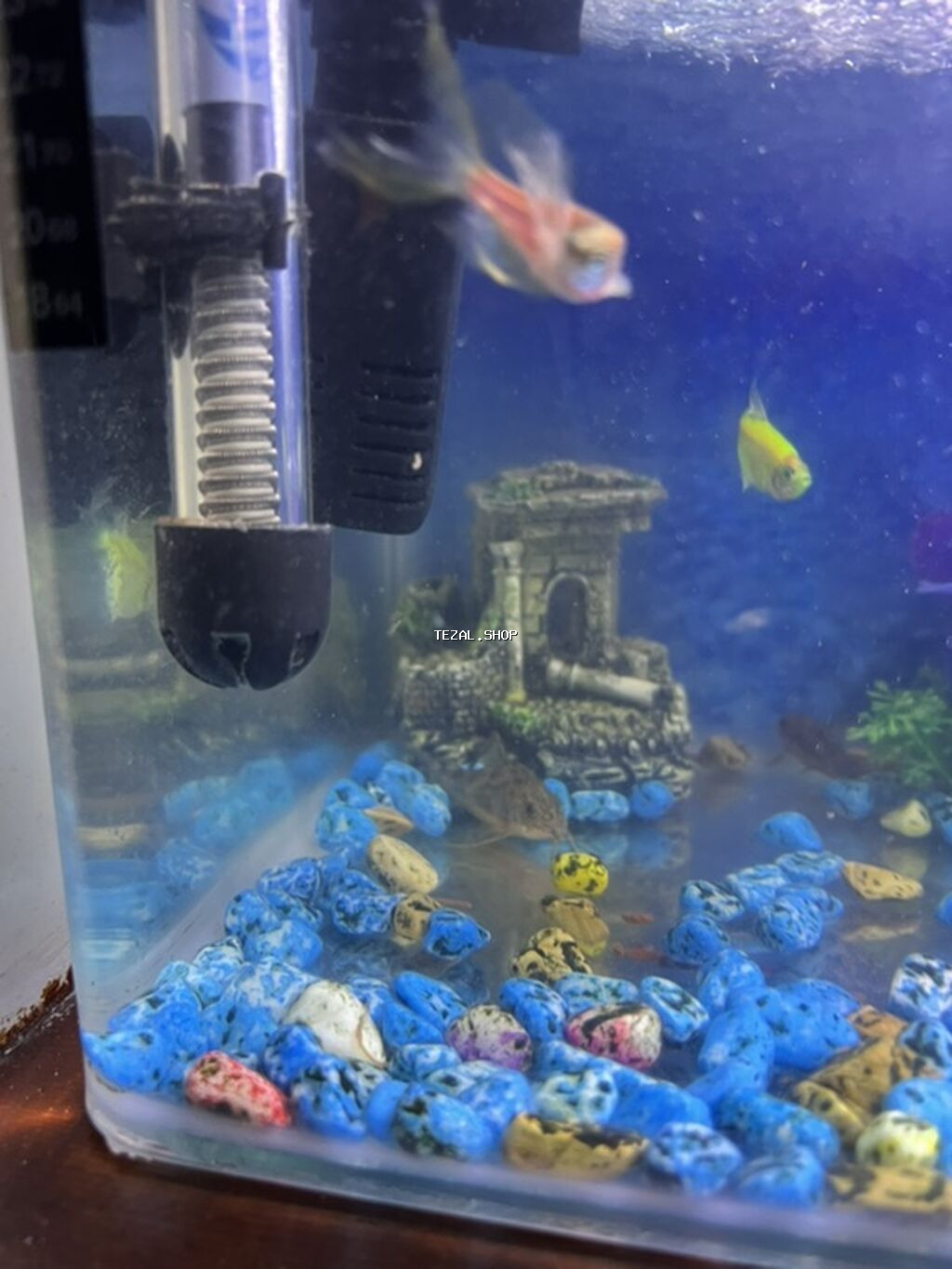 Akvaryum seti – tam işlək komplekt - Şəffaf şüşə akvaryum, düzbucaqlı - şəkil 5