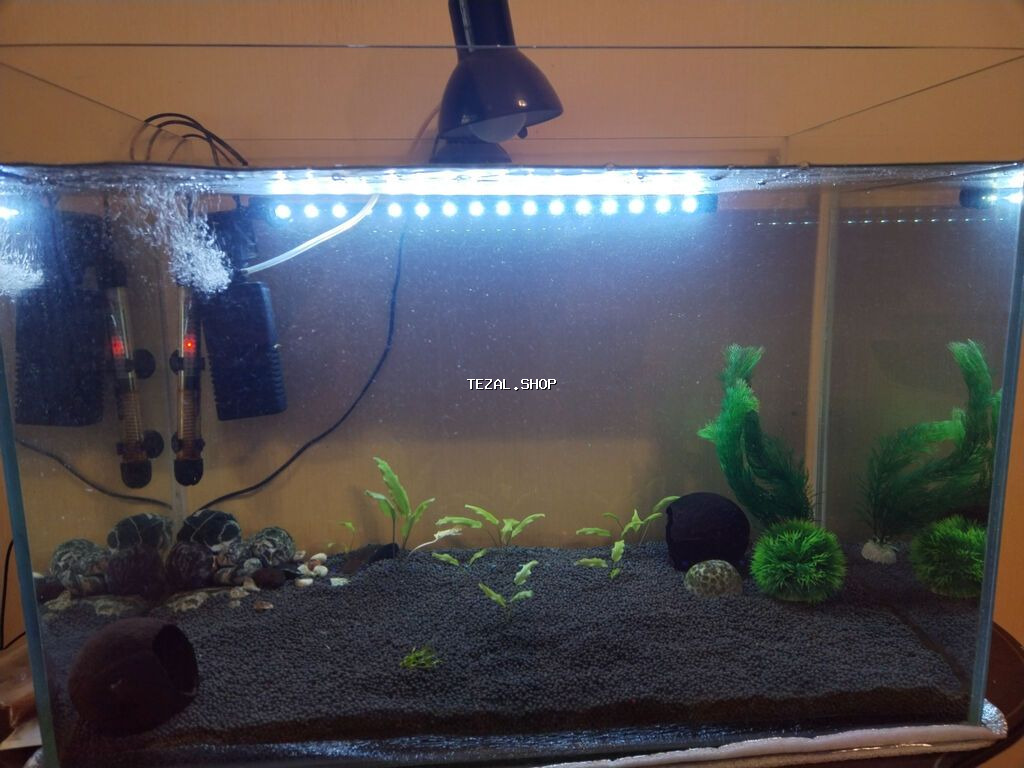 Akvarium her şeyi ile birlikde satilir .Olçuleri 70*40*40 . 8 ml