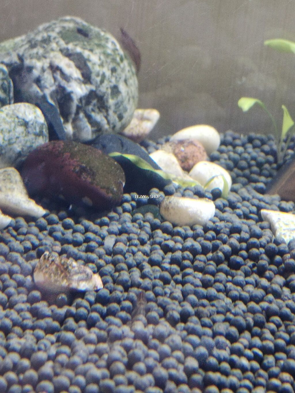 Akvarium her şeyi ile birlikde satilir .Olçuleri 70*40*40 . 8 ml - şəkil 2