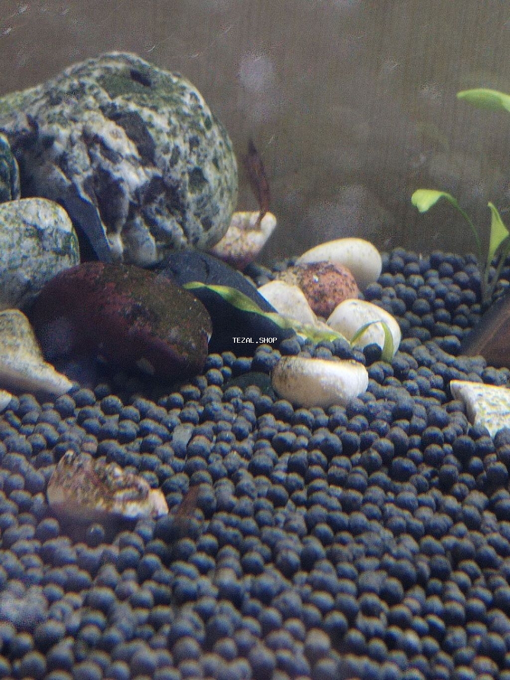 Akvarium her şeyi ile birlikde satilir .Olçuleri 70*40*40 . 8 ml - şəkil 3