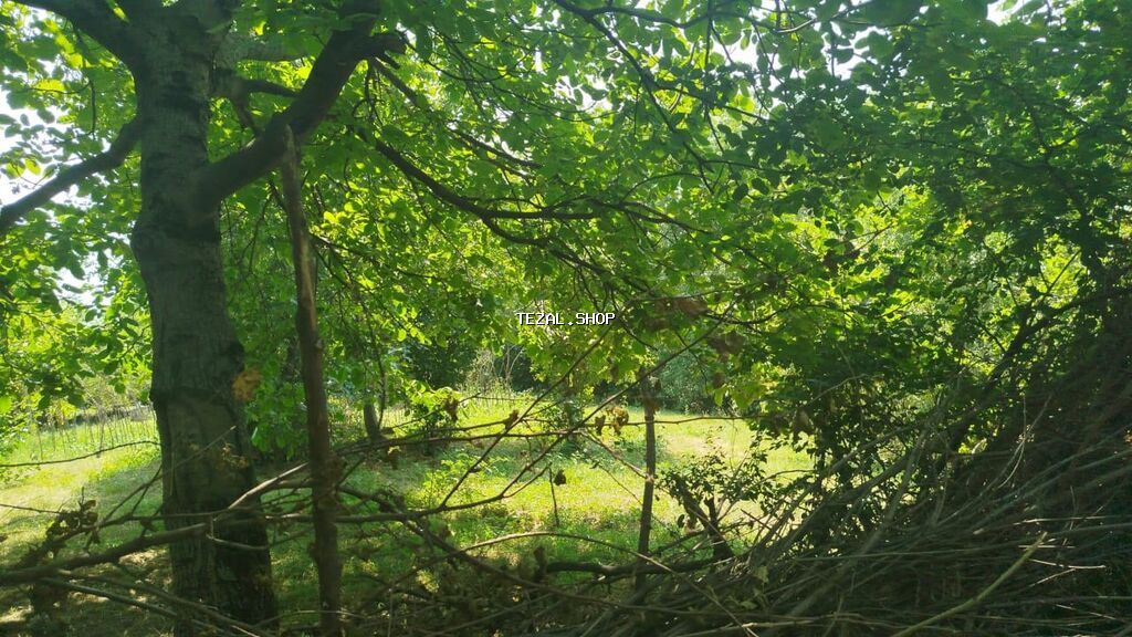 Ismayilli rayon Diyallı kəndində torpağ sahəsi satılır sənədi çıxarış