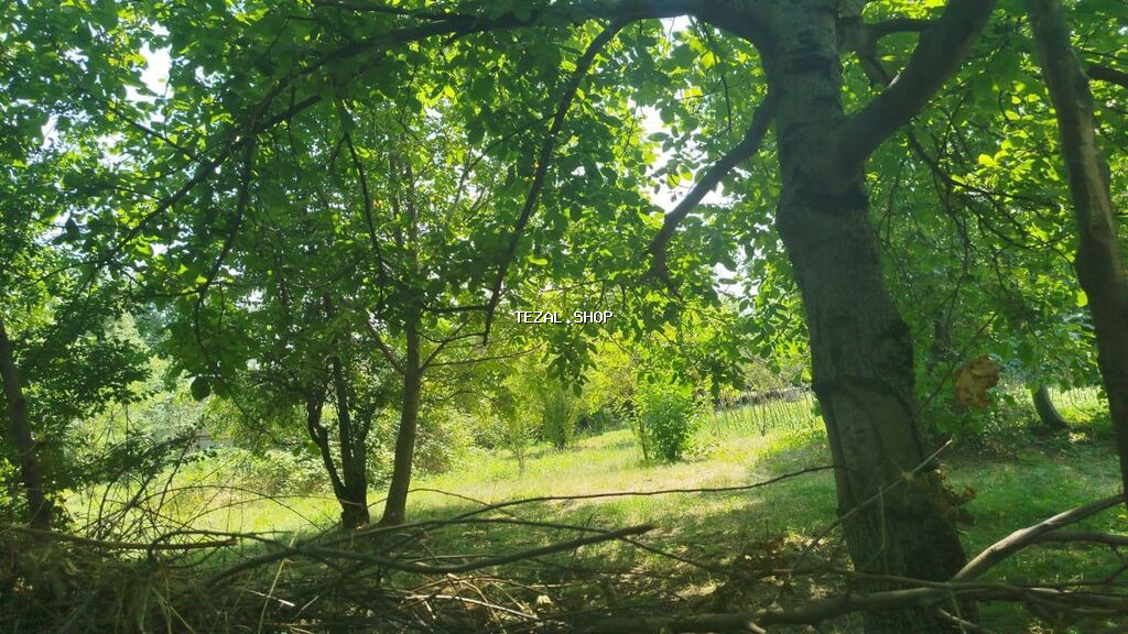 Ismayilli rayon Diyallı kəndində torpağ sahəsi satılır sənədi çıxarış - şəkil 2