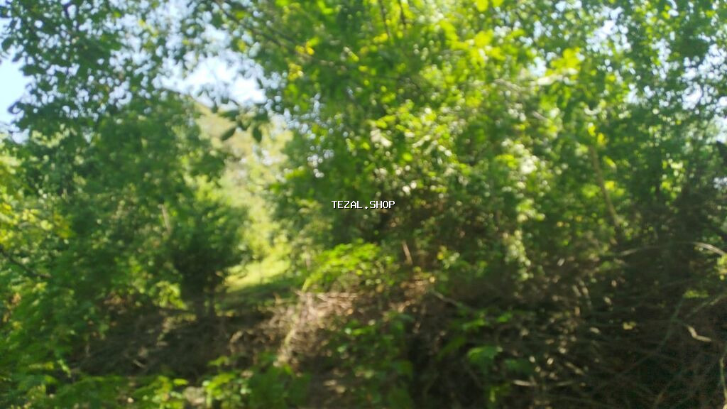 Ismayilli rayon Diyallı kəndində torpağ sahəsi satılır sənədi çıxarış - şəkil 3