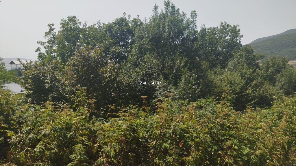 Ismayilli rayon Diyallı kəndində torpağ sahəsi satılır sənədi çıxarış - şəkil 4