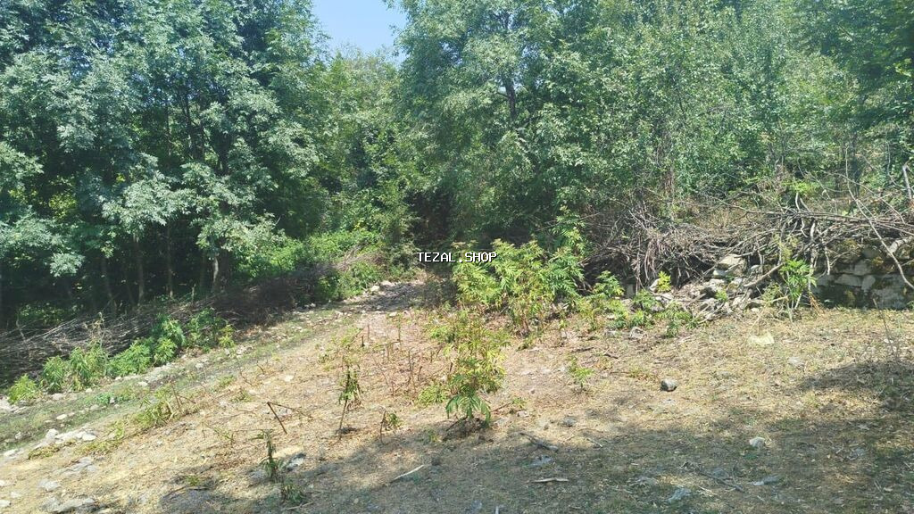 Ismayilli rayon Diyallı kəndində torpağ sahəsi satılır sənədi çıxarış - şəkil 5