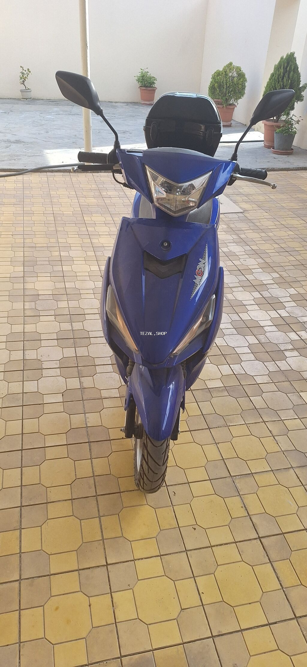 Moon brand - şəkil 3