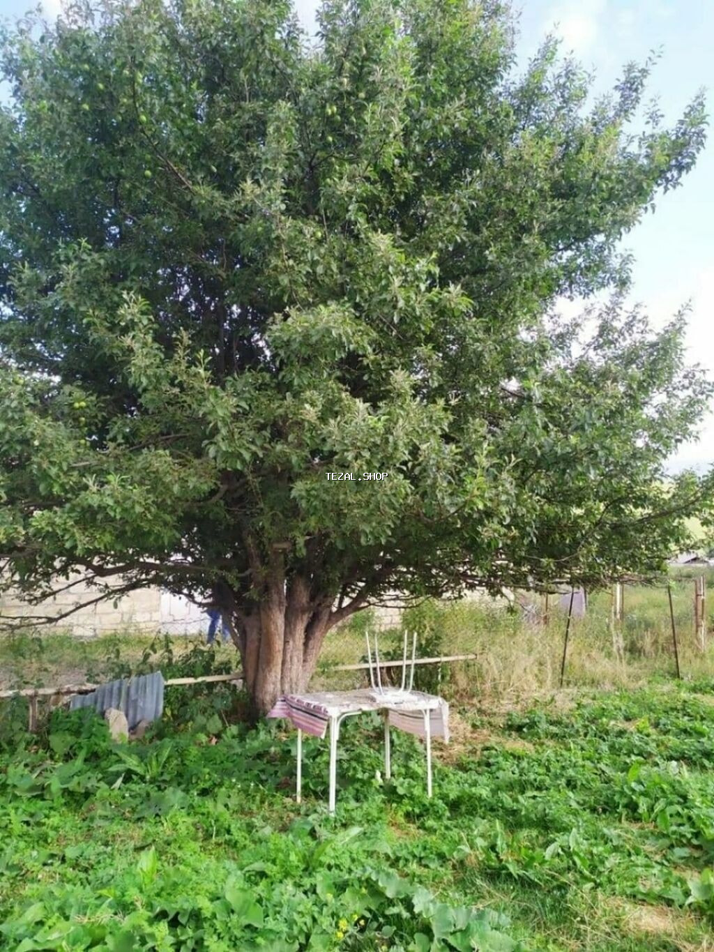 Xoşbulaq, 200 kv. m, 3 otaqlı, Hovuzsuz, Qaz, İşıq - şəkil 2