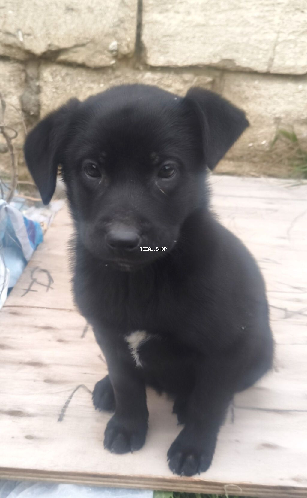 1 ay, Pulsuz çatdırılma - şəkil 3