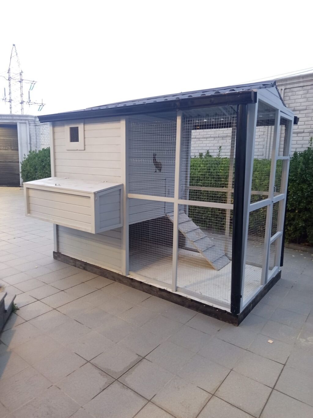 Toyuq hini # Toyuq yuvasi