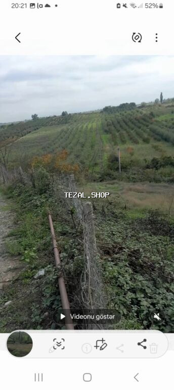 Tikinti, Mülkiyyətçi, Kupça (Çıxarış) - şəkil 2