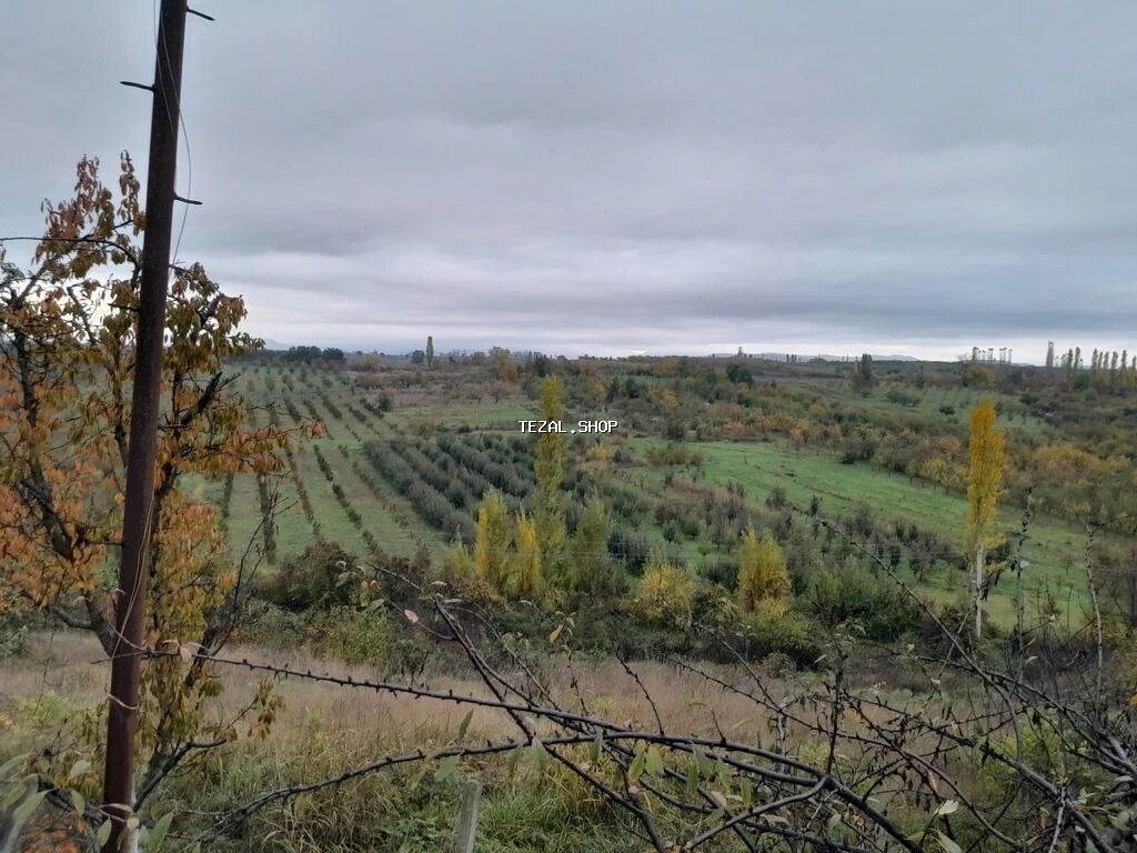 Tikinti, Mülkiyyətçi, Kupça (Çıxarış) - şəkil 3