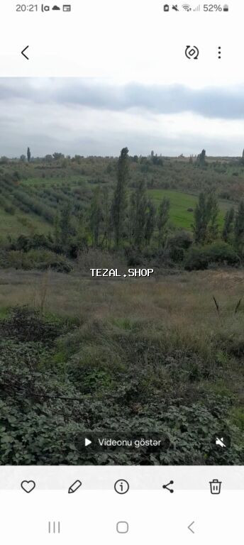 Tikinti, Mülkiyyətçi, Kupça (Çıxarış) - şəkil 5