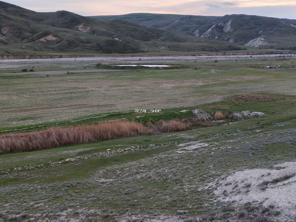 Kənd təsərrüfatı, Kupça (Çıxarış), Müqavilə