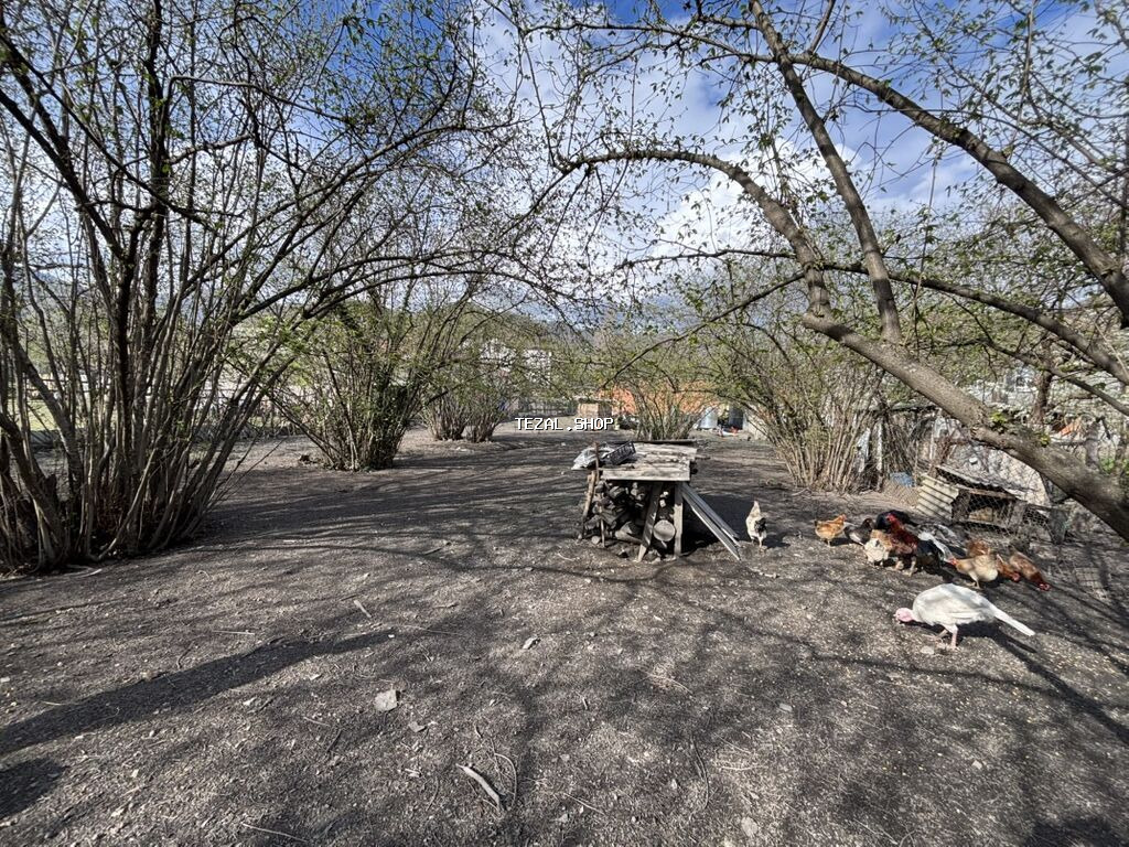 26 sot, Kənd təsərrüfatı, Kupça (Çıxarış) - şəkil 4