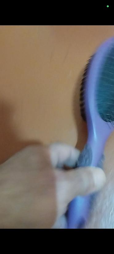 İkiüzlü daraq/çəngəl fırça - Material: bir üzdə paslanmayan metal - şəkil 3