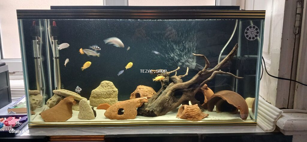 Boş, 96 l, Ünvandan götürmə, Ödənişli çatdırılma