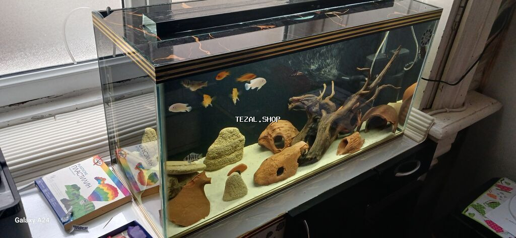 Boş, 96 l, Ünvandan götürmə, Ödənişli çatdırılma - şəkil 2