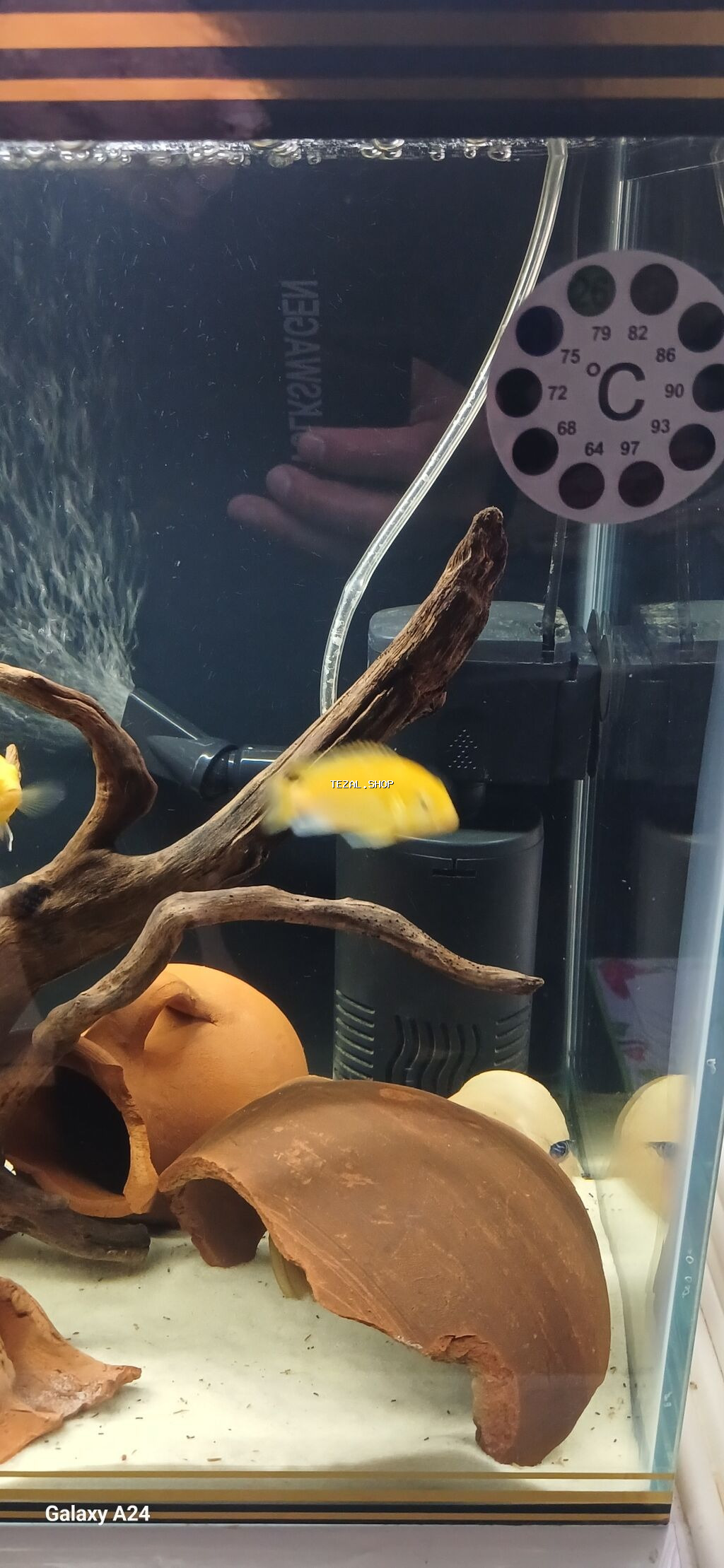 Boş, 96 l, Ünvandan götürmə, Ödənişli çatdırılma - şəkil 4