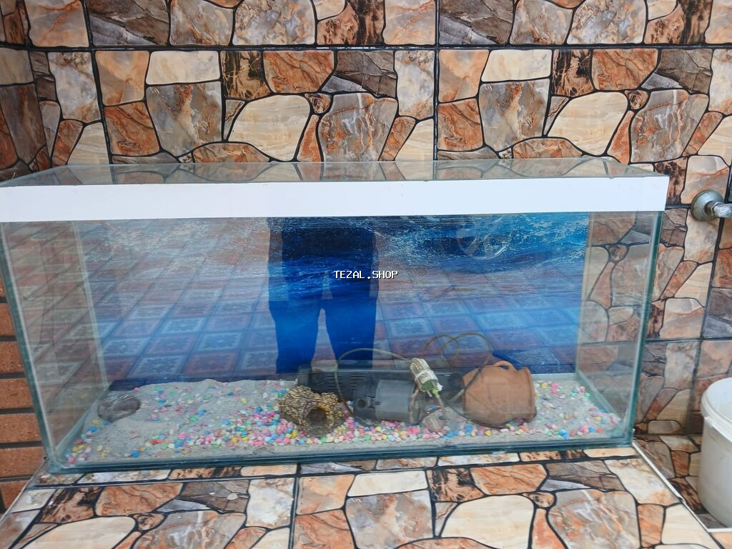 Akvaryum dəsti - Şüşə akvaryum – ön, arxa və yanları şəffaf şüşə. Üst