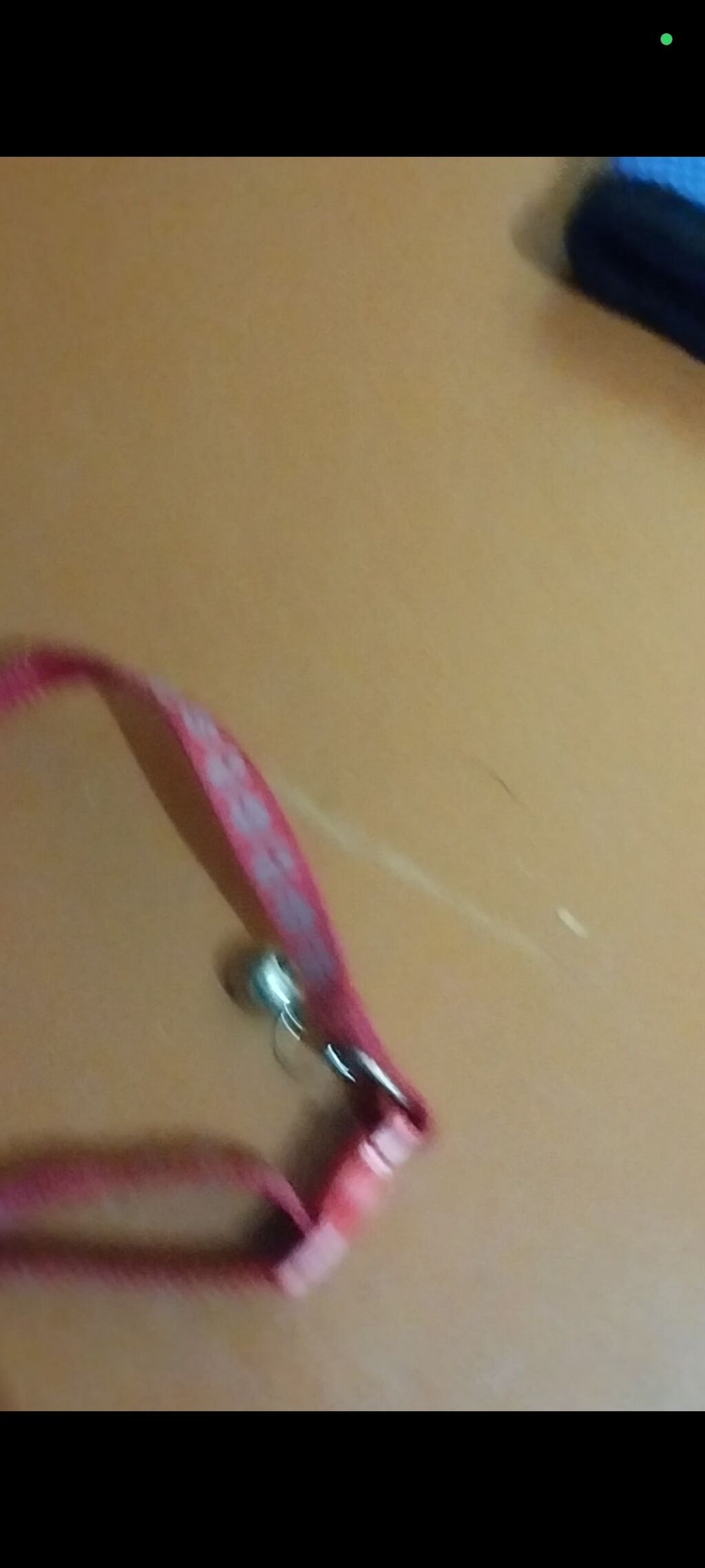 Pişik yaxalığı – tənzimlənən, zəngli - Rəng: çəhrayı - Material