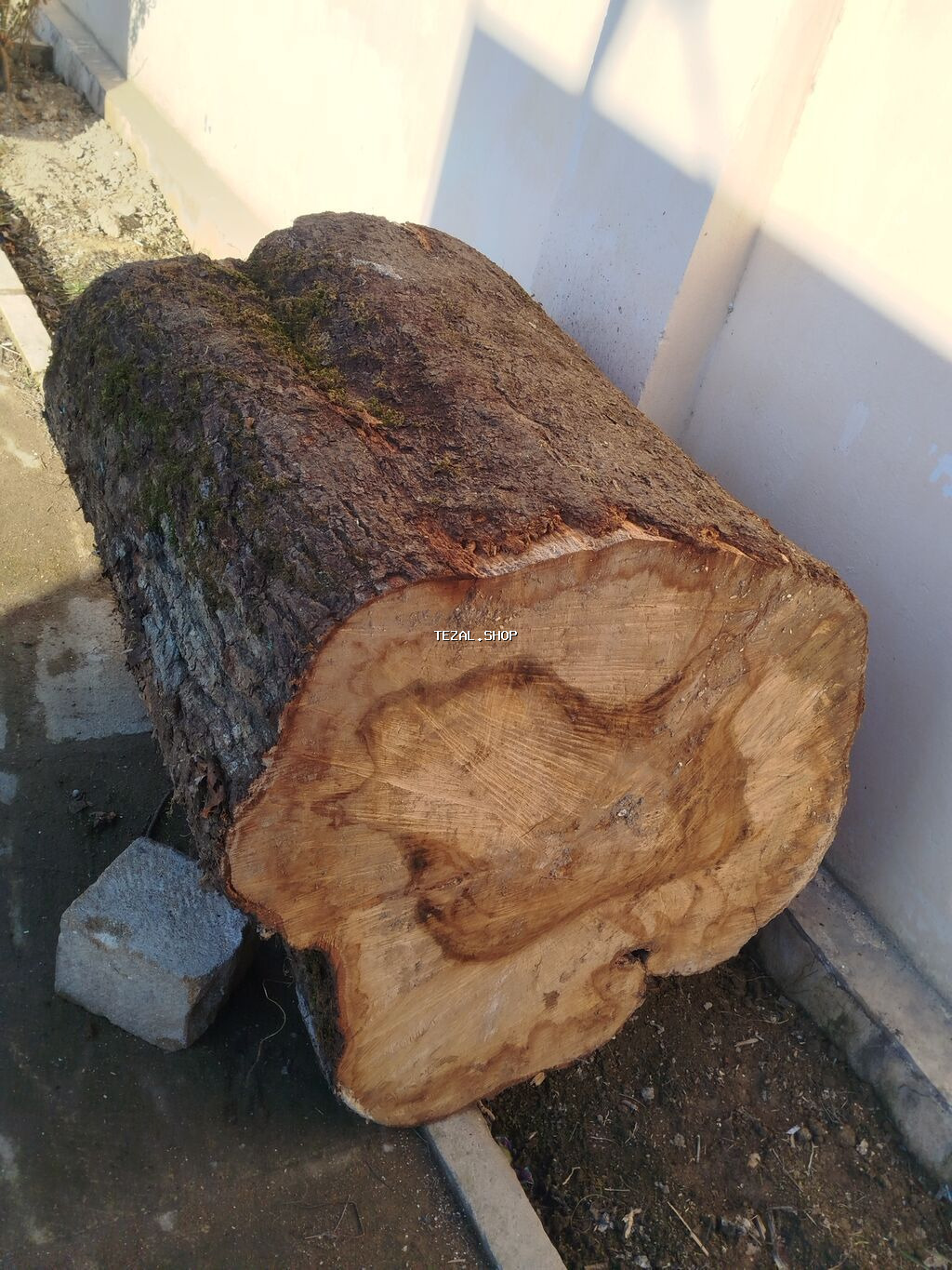 Qəssab Kötüyü.Hündürü 110sm,eni 80sm