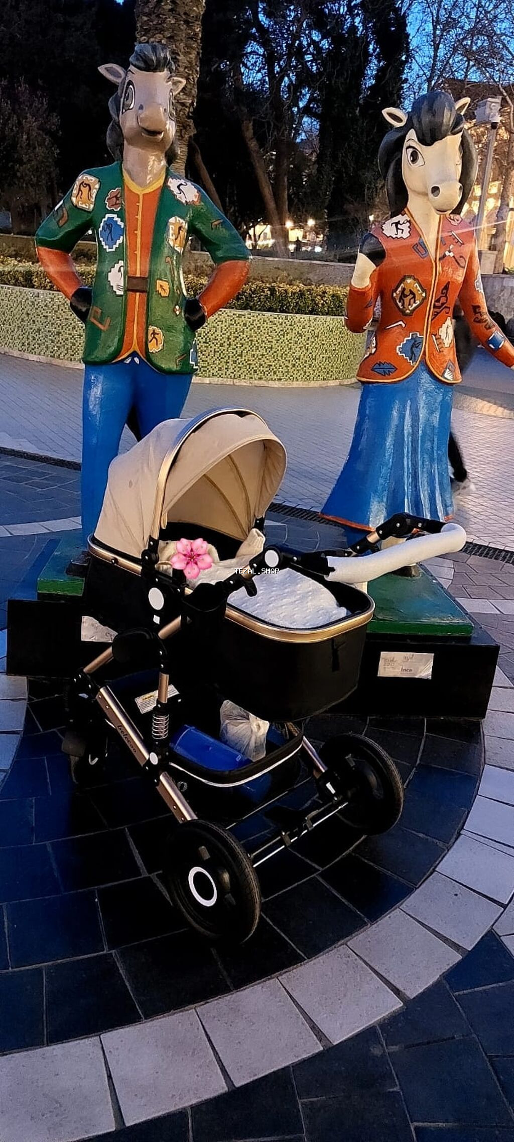 Çıxarıla bilən beşikli araba, Yaş: <1 ay