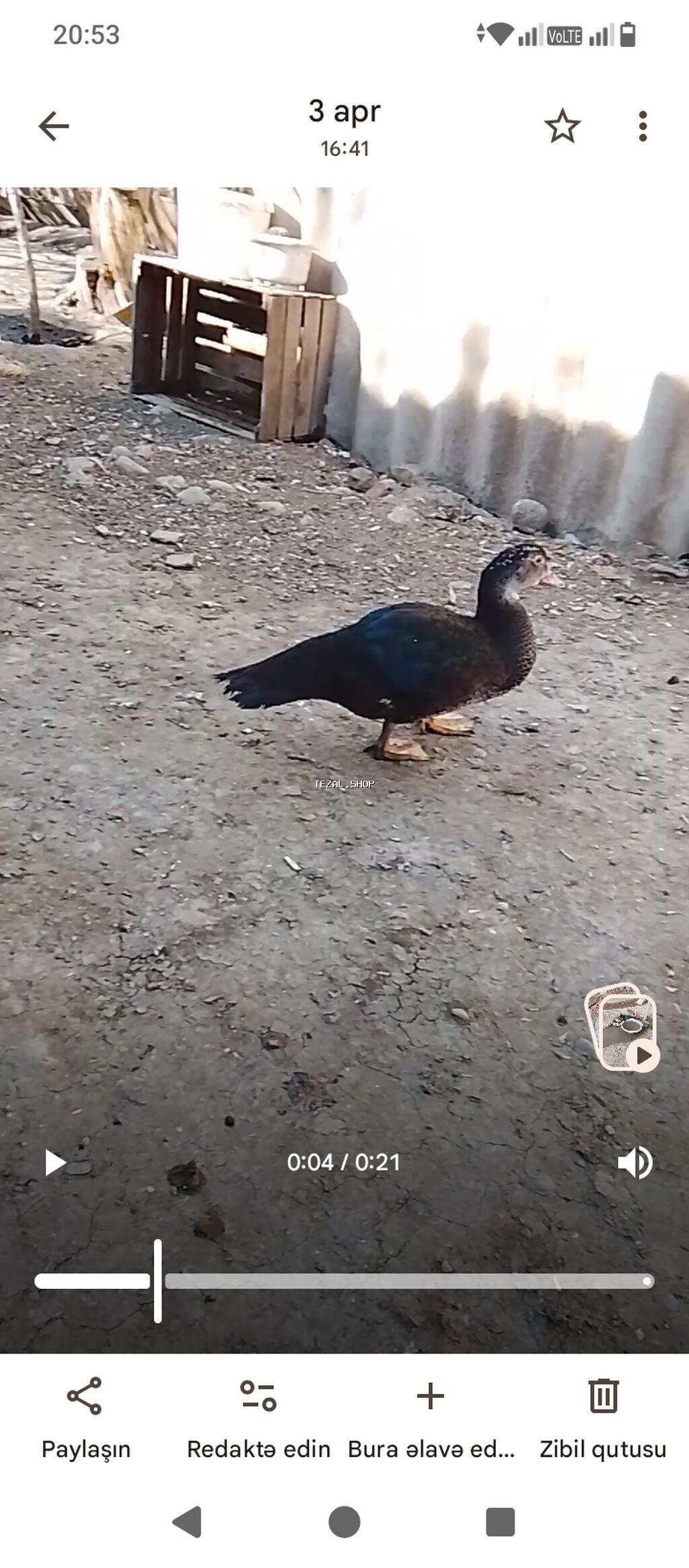 2fere 1erkey son 50m