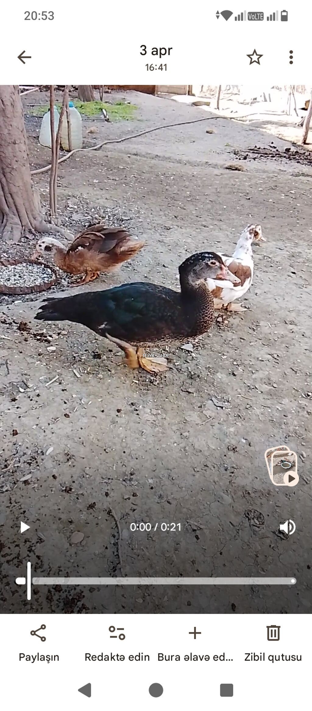 2fere 1erkey son 50m - şəkil 2