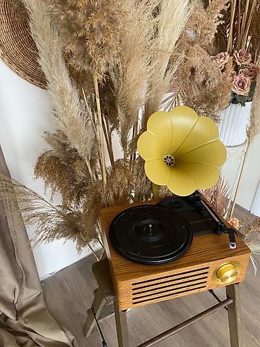 Vinil plastinkalar üçün retro üslublu pikaplar Məhsul təsviri: - - şəkil 2