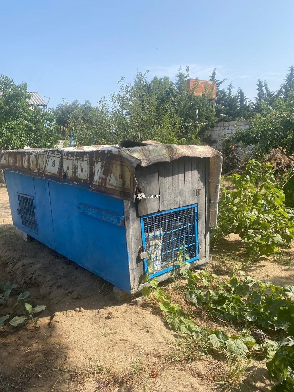Heyvan üçün toyuq,dovşan və başqa hin satılır.üstü demirdi su