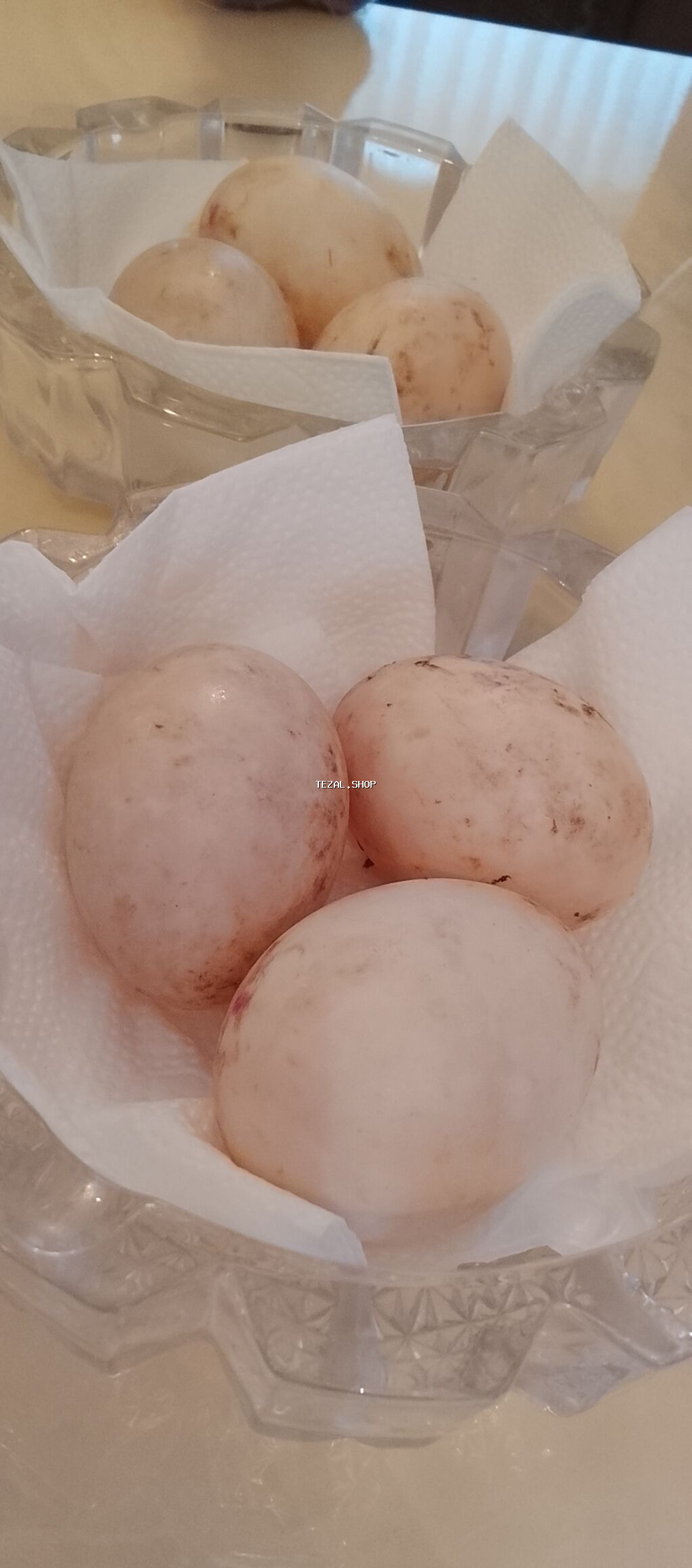 Mayalı ördək yumurtası satılır, Bakıya və ətraf rayonlara çatdırılma