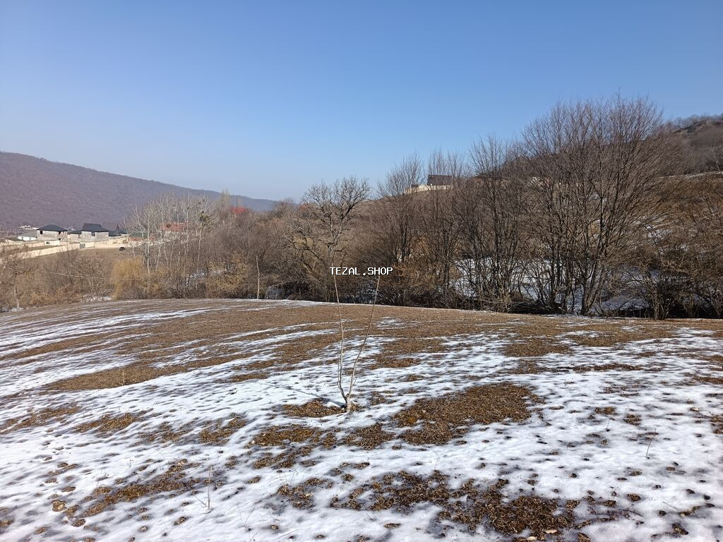 100 sot, Mülkiyyətçi, Bələdiyyə