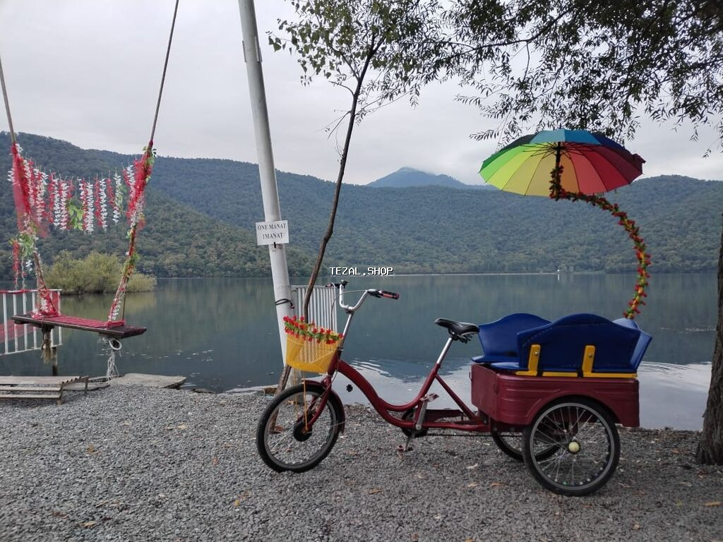 Uşaq və ailə gəzintiləri üçün 3 təkərli sərnişin velosipedi - Tip