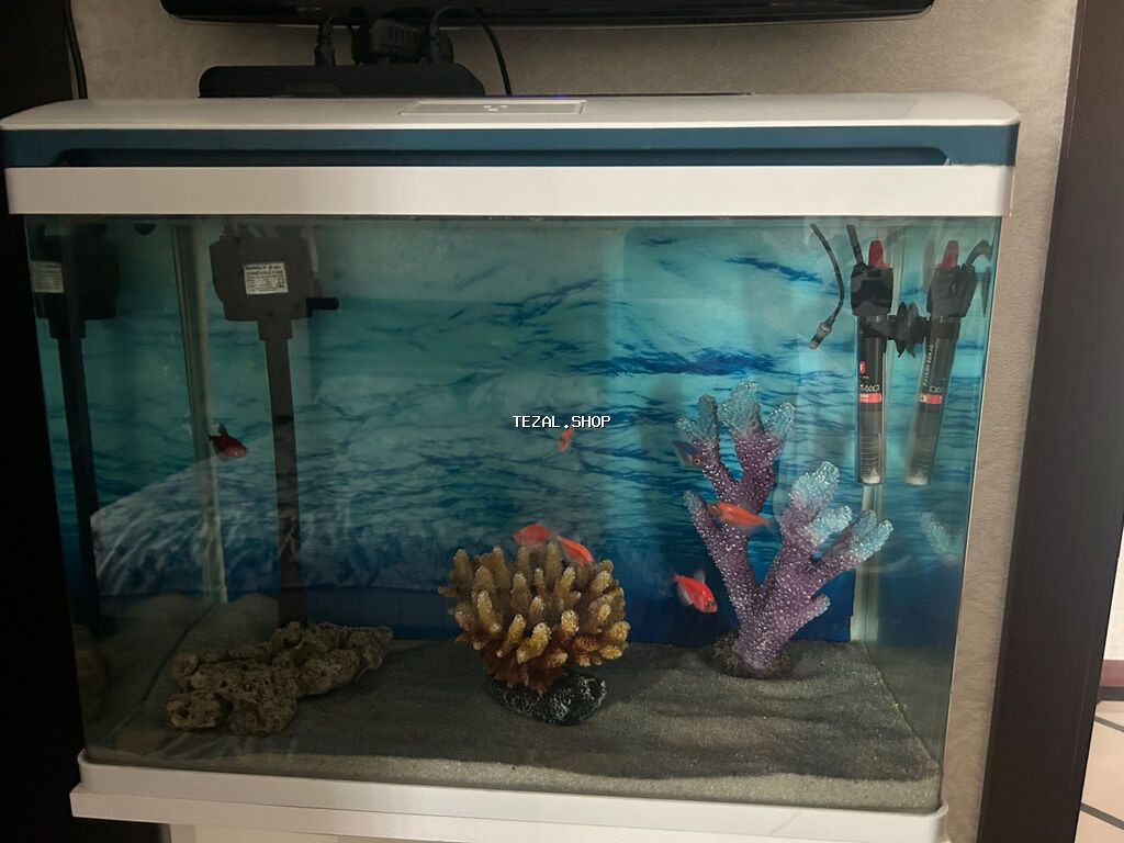 Hazır Akvarium Satılır (Tam Dəst) Hər bir şeyi daxil, ideal