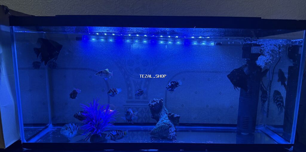 Boş, 80 l, Ödənişli çatdırılma