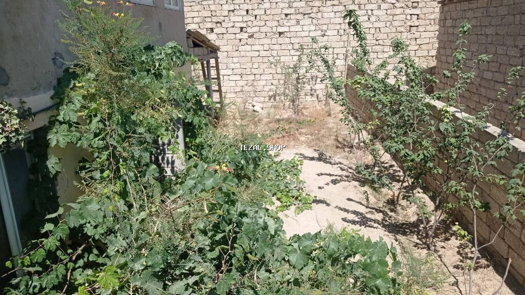 Bakı, Zirə qəs., 100 kv. m, 7 otaqlı, Hovuzsuz, Qaz, İşıq, Su - şəkil 4