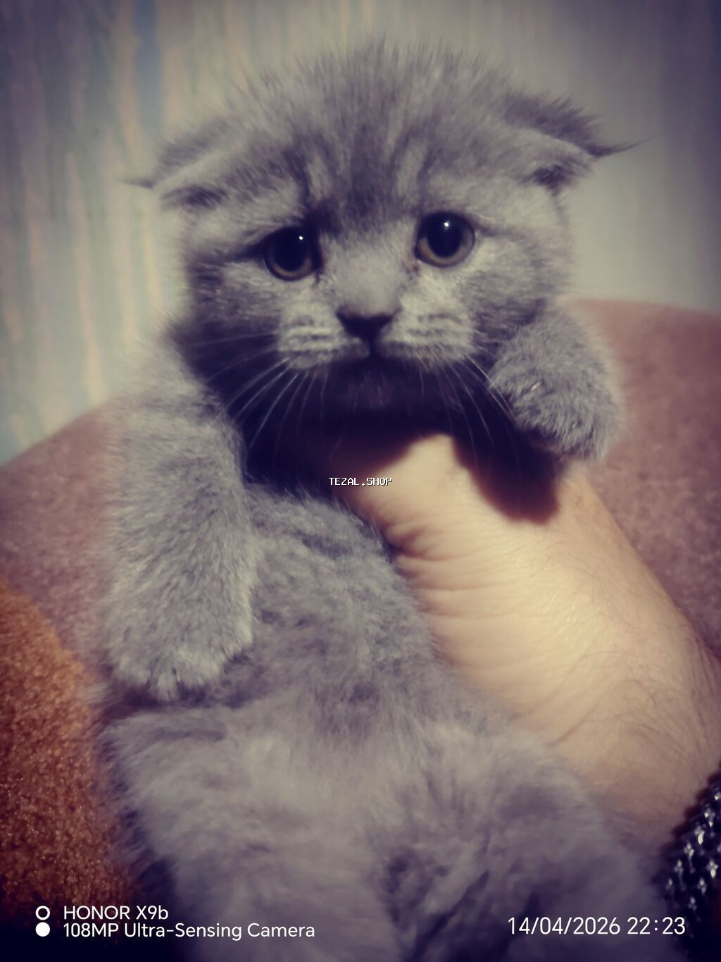 Şotland, Yaxşı əllərə, Pulsuz çatdırılma