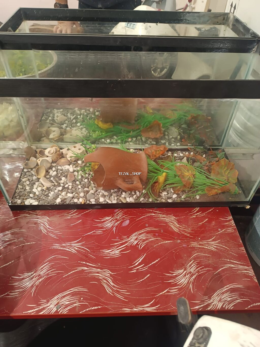 Şüşə akvarium – dekorativ aksesuarlarla - Material: qalın şüşə, qara