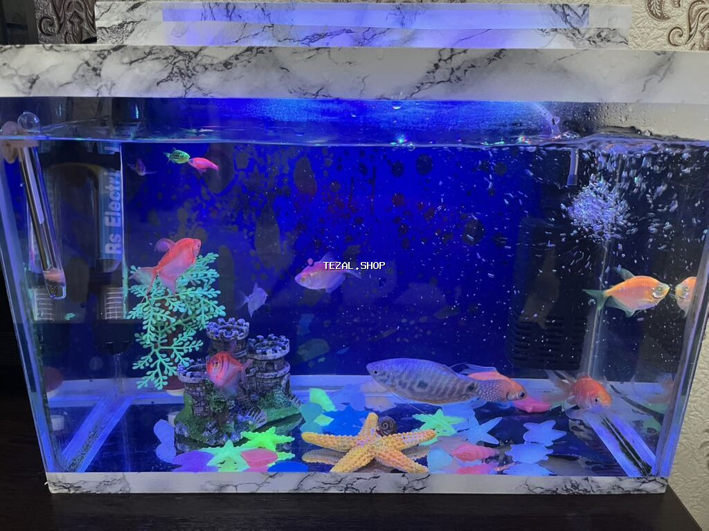 Dördbucaq akvarium, Balıqlarla birlikdə, 18 l, Ünvandan götürmə, Ödənişli çatdırılma