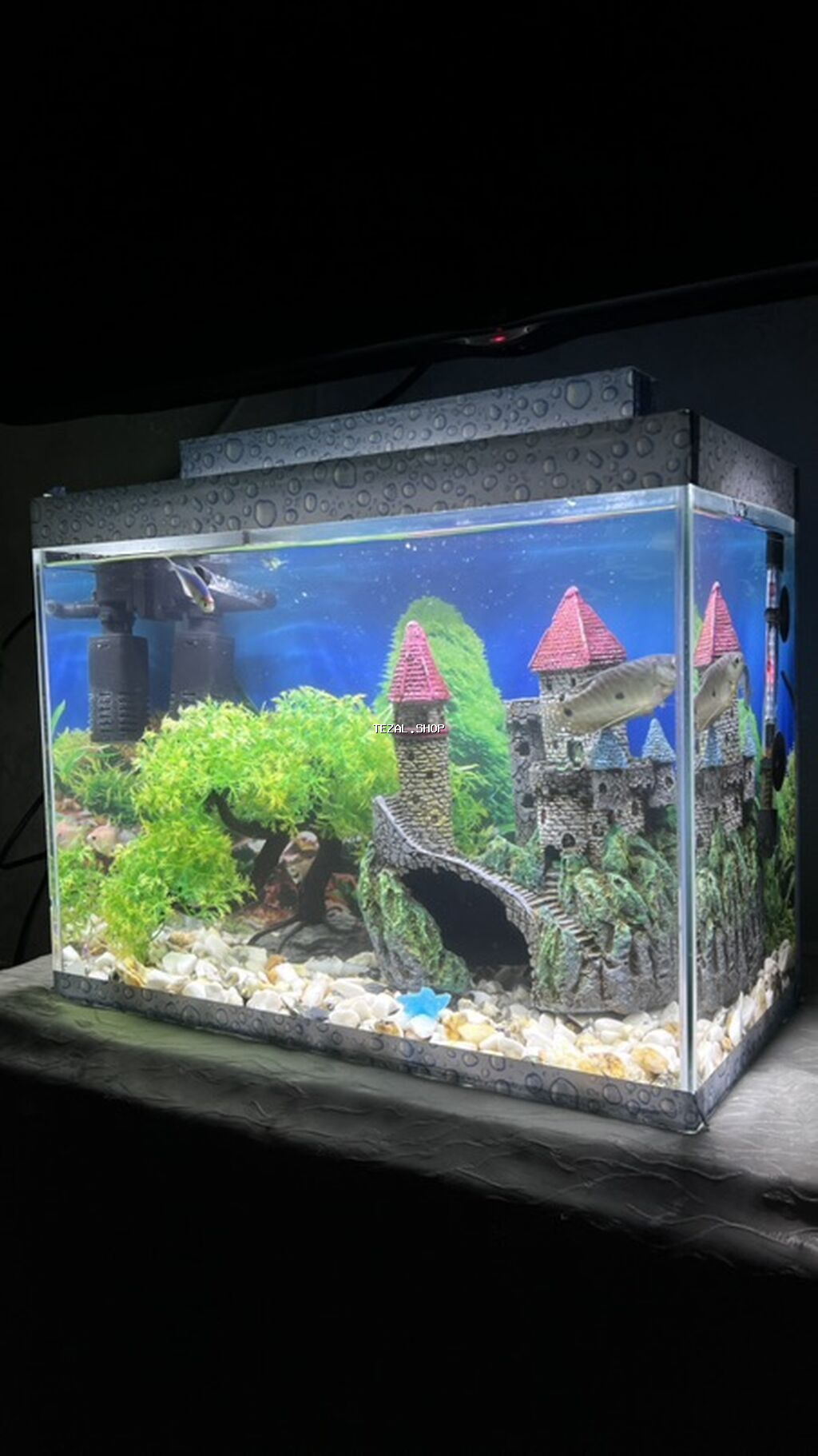 Akvaryum dəsti – şüşə akvarium və tam qurğu - Ölçü təxmini: orta